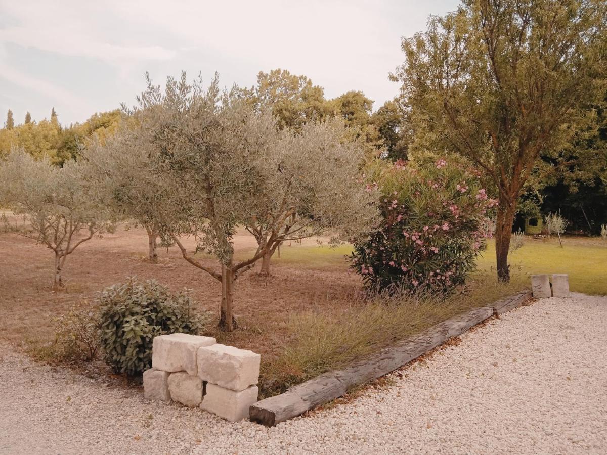 Gite Du Mas De La Finiere ,Avec Spa Interieur Châteaurenard Exterior photo