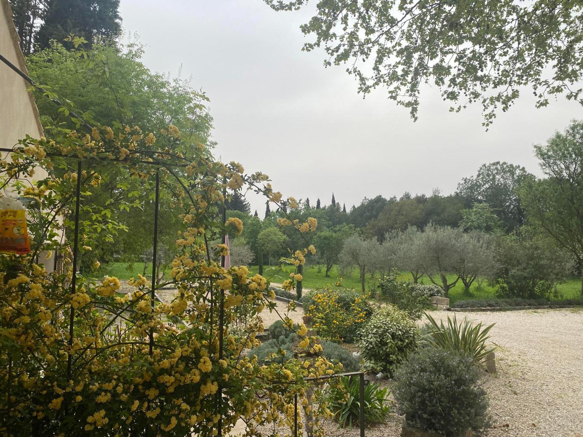 Gite Du Mas De La Finiere ,Avec Spa Interieur Châteaurenard Exterior photo